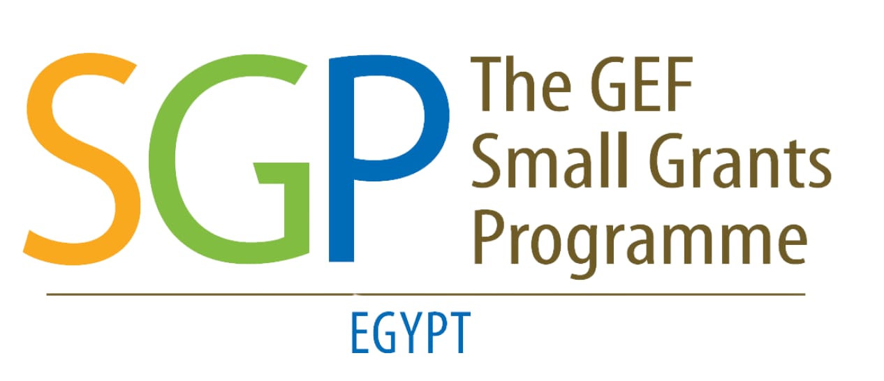 SGP Egypt