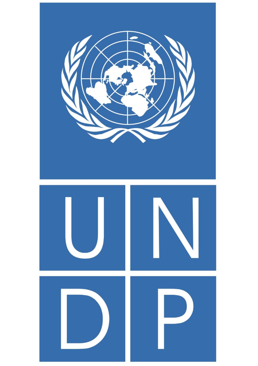 UNDP Logo